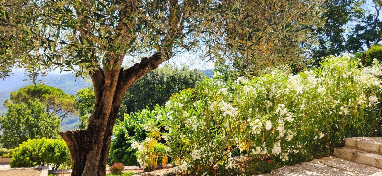 Loup Castel Boutique Hotel B&B Le Bar-sur-Loup Exterior foto